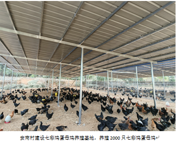 28圈集团,长沙杀虫剂,长沙光气衍生物,长沙氨基酸保护剂,长沙锂离子电池材料