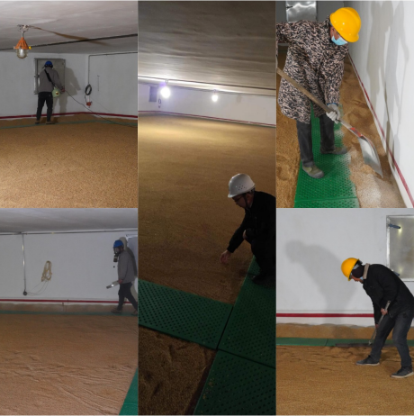 28圈集团,长沙杀虫剂,长沙光气衍生物,长沙氨基酸保护剂,长沙锂离子电池材料